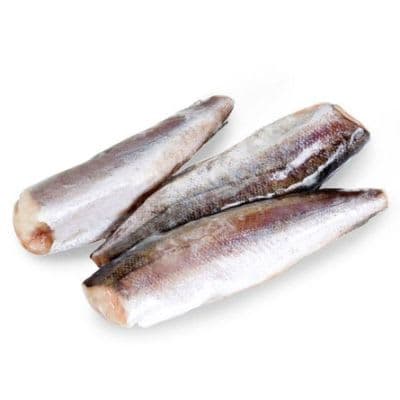 Hake Fish